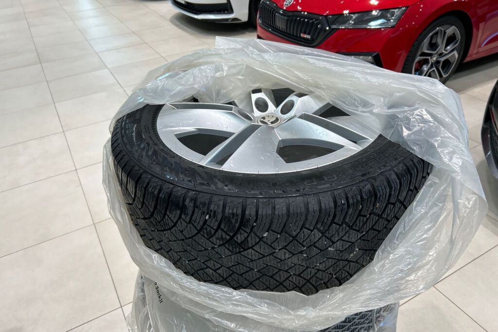 Skoda Enyaq 2023 80x 4x4 iV