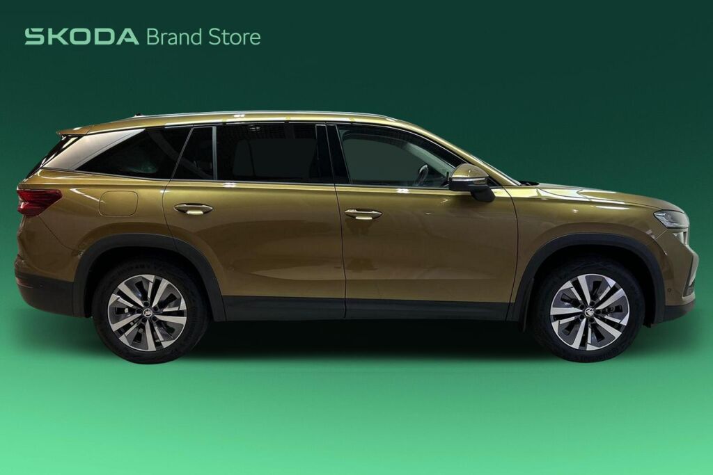 Skoda Kodiaq 2024 2.0 TDI 193 4x4 Style DSG Autom.