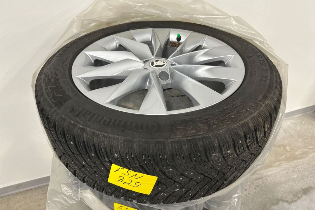 Skoda Enyaq 2023 80x 4x4 iV