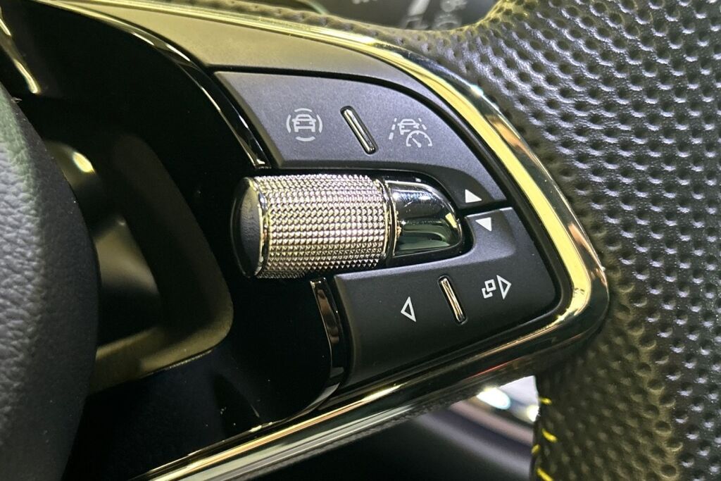 SKODA Enyaq 2024 Coupe 80x 4x4 RS iV